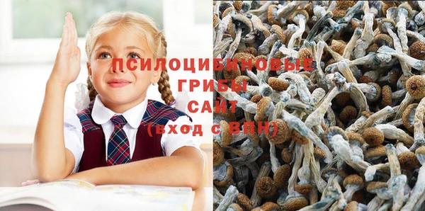 бошки Белоозёрский