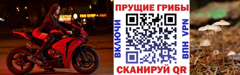 Псилоцибиновые грибы MAGIC MUSHROOMS  Верхний Тагил 